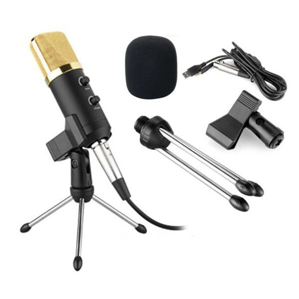 BM 100 FX Condenser Microphone