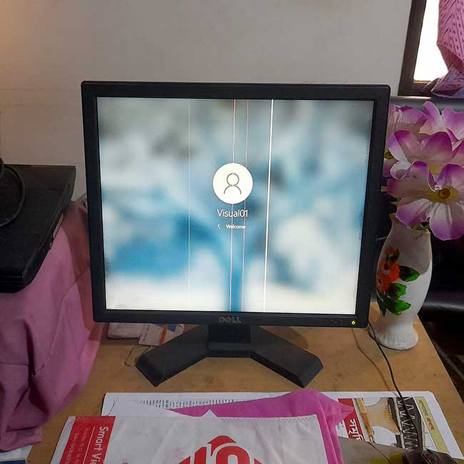 Dell 17 Inch Monitor